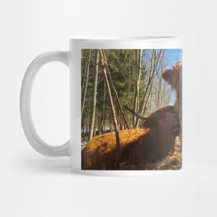 Scottish Highland Cattle Cow and Calf 1965 Mug